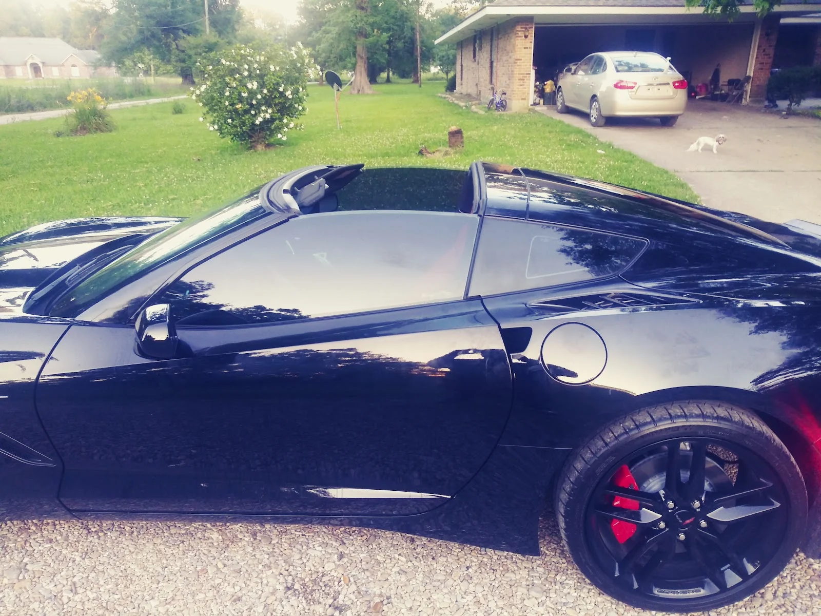 Blacked-out Corvette with tinted glass — Exclusive Tint&Audio